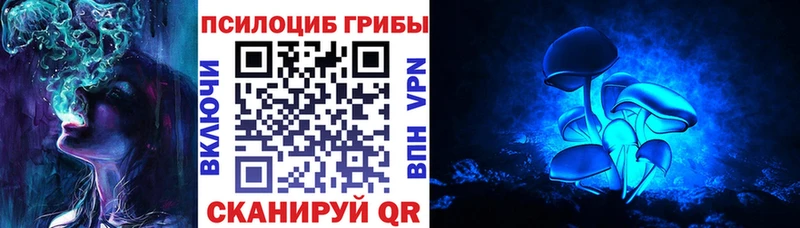 Галлюциногенные грибы Psilocybe  Люберцы 